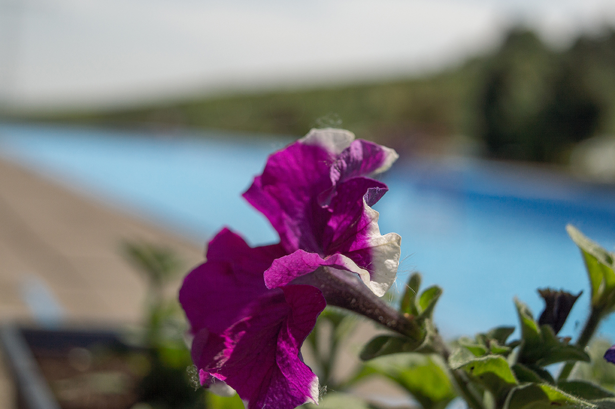 Freibad Uthleben